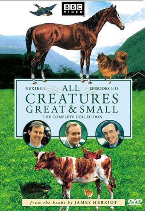 Where to stream All Creatures Great and Small Season 1