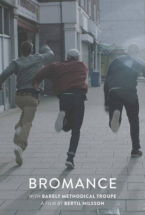 Bromance movie poster player
