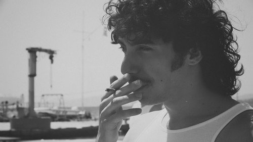 Palirroia - imagem 2