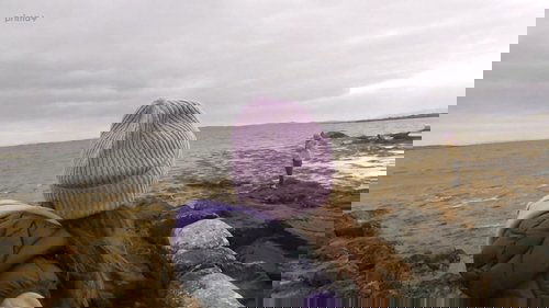 Image de l'épisode 12