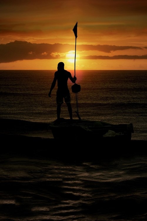 The Fisherman's Diary poster