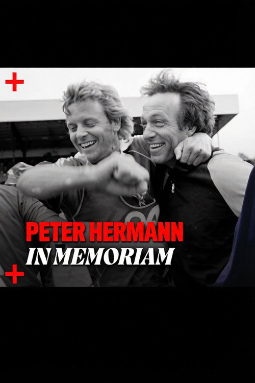 Official poster for the TV series In Memoriam Peter Hermann (2026)