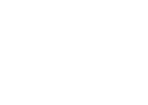 Man in the Arena: Tom Brady