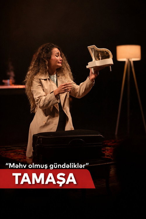 Məhv olmuş gündəliklər