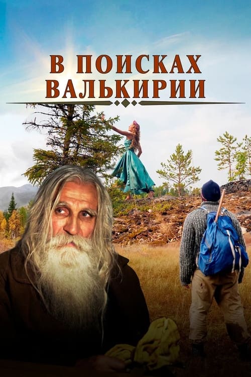 In Search of the Valkyrie poster