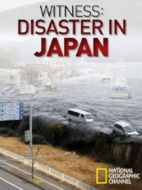 Witness: Disaster in Japan poster