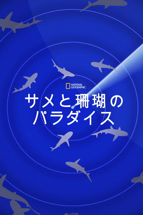 Journey to Shark Eden poster