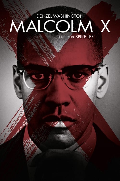 Malcolm X poster