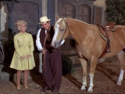 Green Acres, S04E13 - (1969)