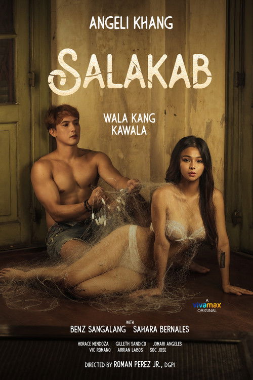 Salakab poster