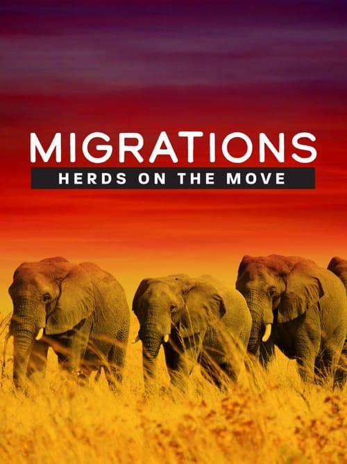 Migrations: Herds on the Move poster