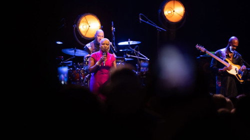 Angélique Kidjo : 40 ans de carrière