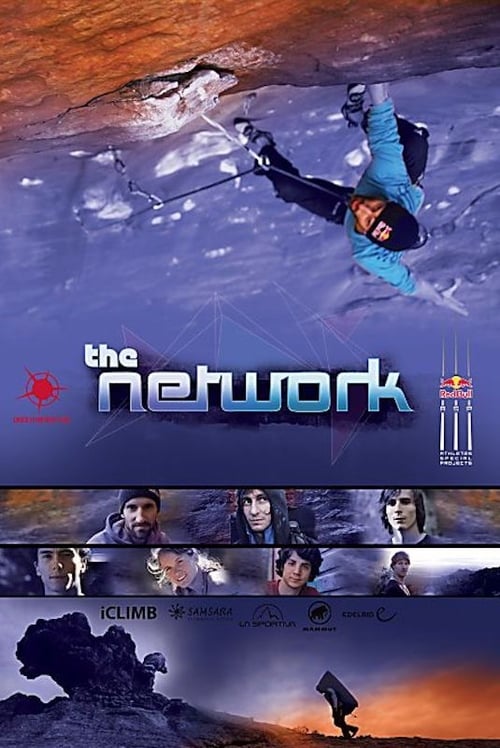 The Network (2013) poster