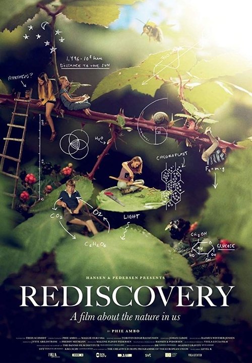 Rediscovery poster