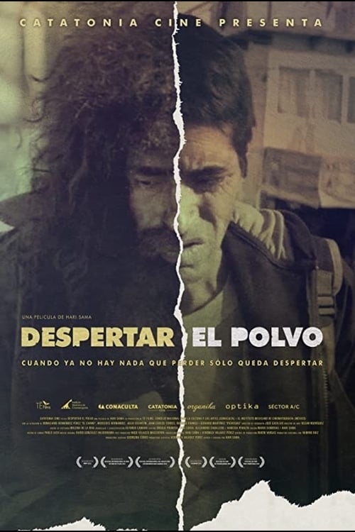 Despertar el Polvo poster