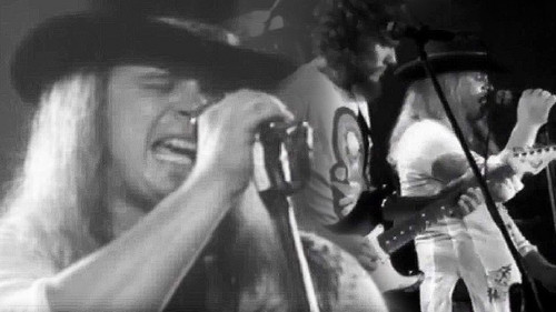Lynyrd Skynyrd Live at Convention Hall 1977 Backdrop Blur