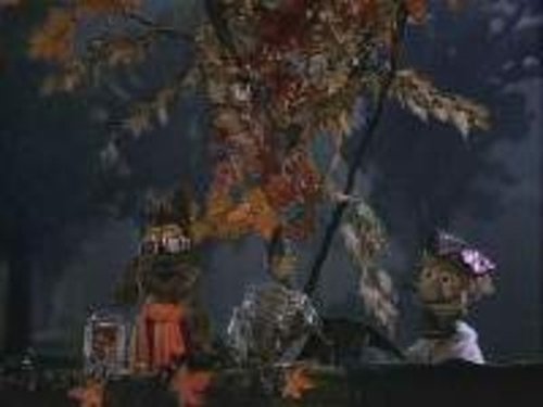 Image de l'épisode 6