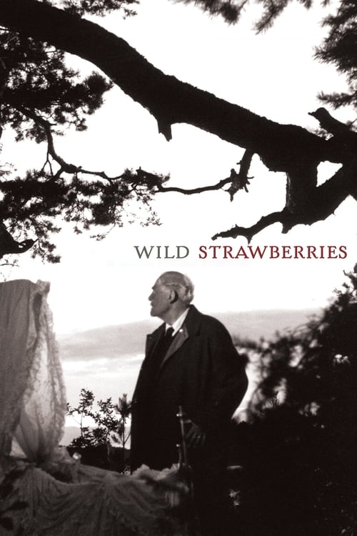 Largescale poster for Wild Strawberries