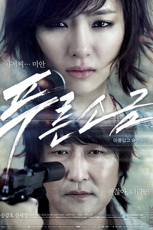 푸른소금 (2011) poster