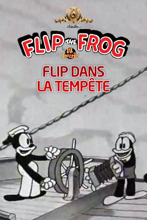 Poster of : Flip dans la Tempête