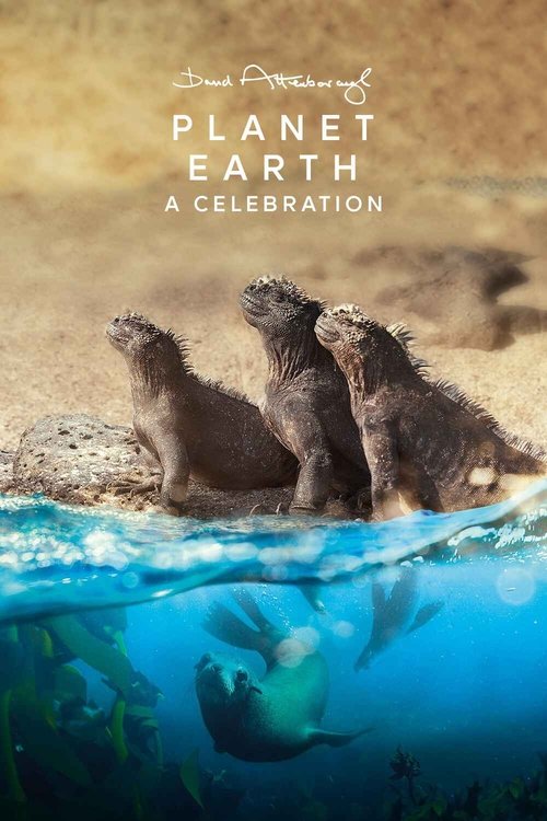 Planet Earth: A Celebration poster