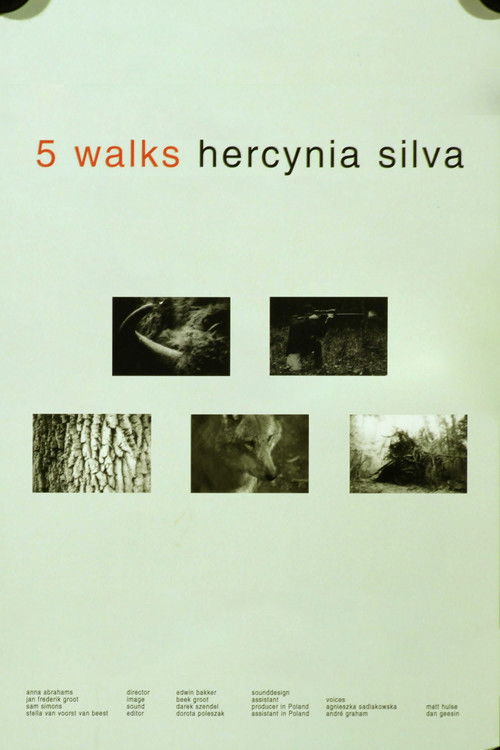 5 Walks. Hercynia Silva poster