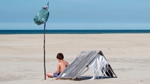 非凡夏日