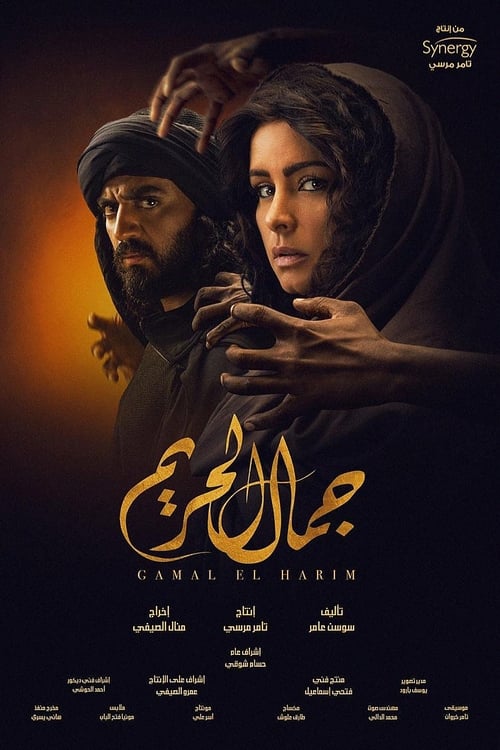 Poster Gamal El Hareem