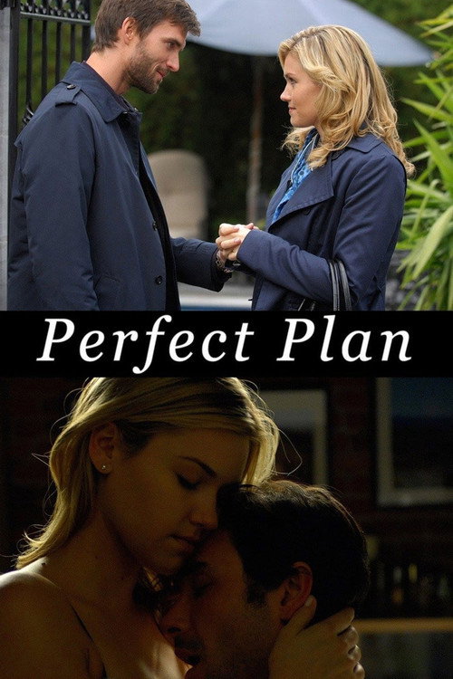 Perfect Plan poster