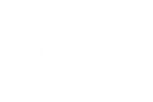 Catch of the Day (2025)