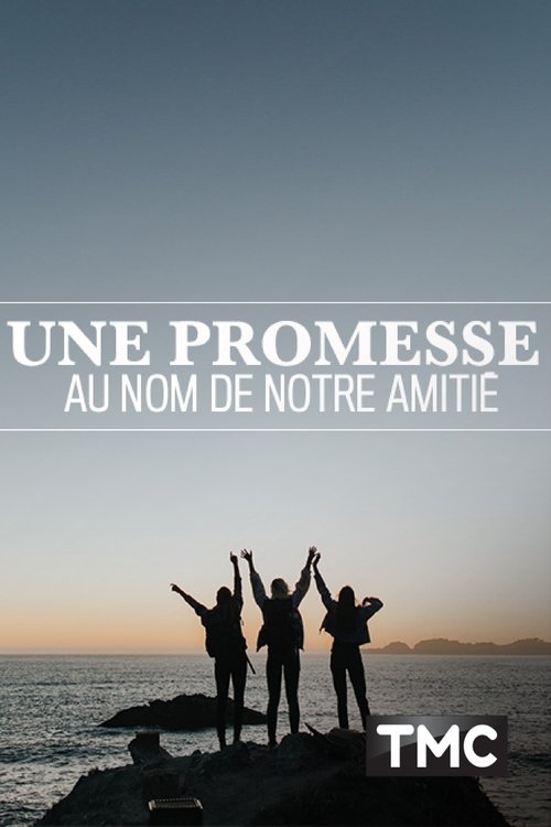 Une promesse au nom de notre amitié (2017)