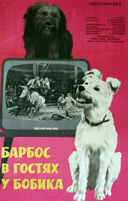 Барбос в гостях у Бобика (1965)