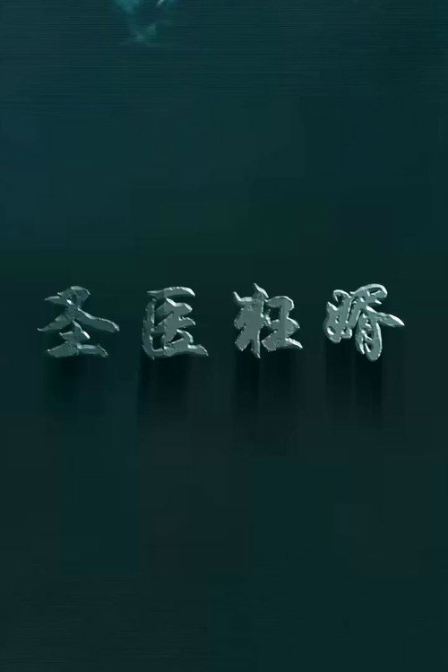 圣衣狂婿