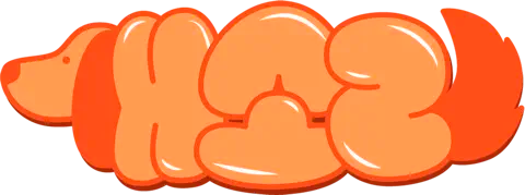 Dog Knows Everything