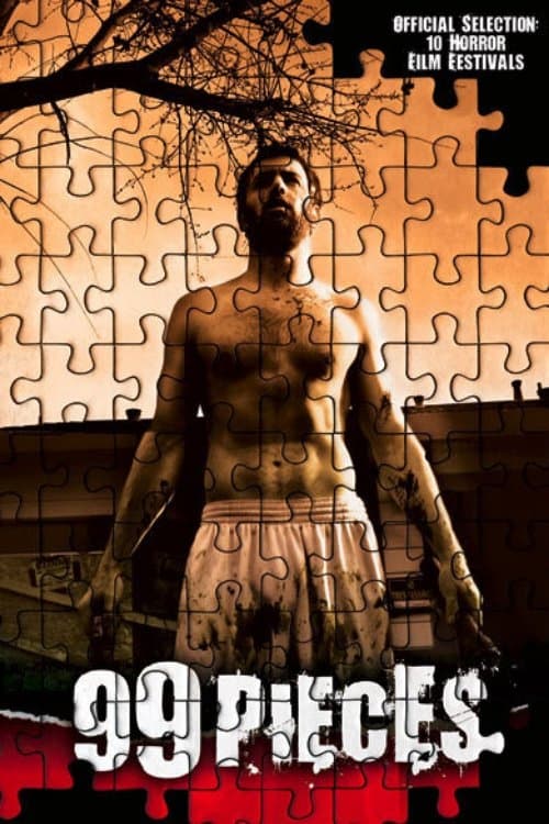 99 Pieces (2007) poster