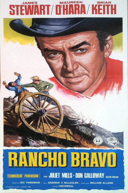 The Rare Breed poster