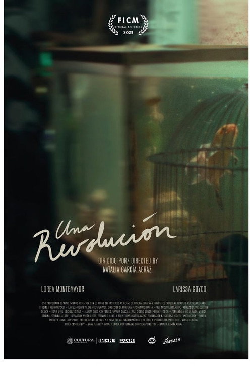 A Revolution poster