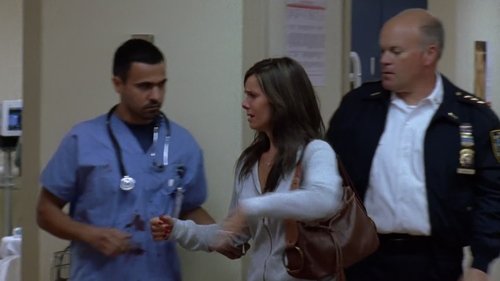 Poster della serie Law & Order: Criminal Intent