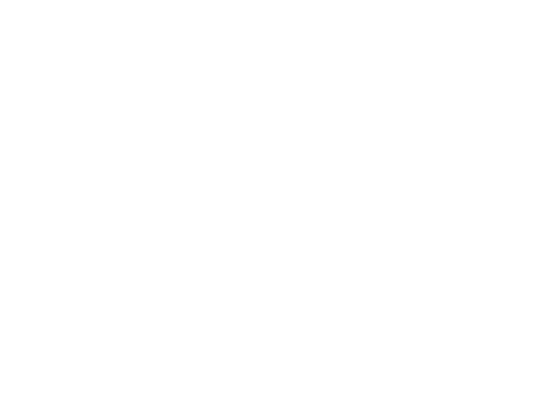 Beautiful Creatures