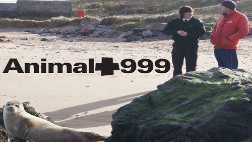 Animal 999 Backdrop Blur