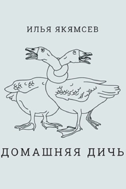 Ilya Yakyamsev: Domestic Game