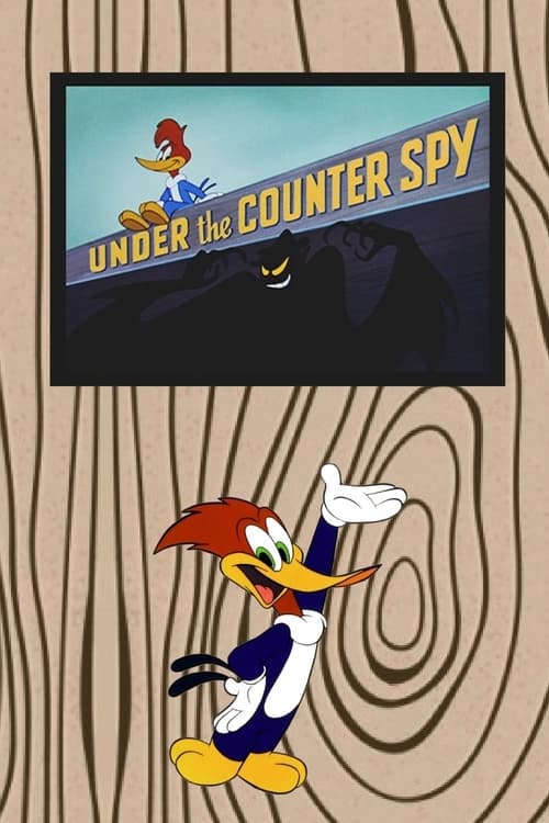 Under the Counter Spy Movie Poster Image