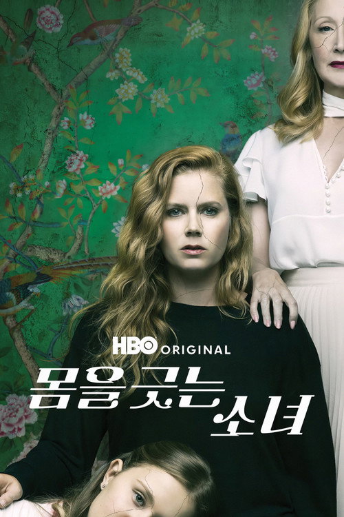 몸을 긋는 소녀 poster