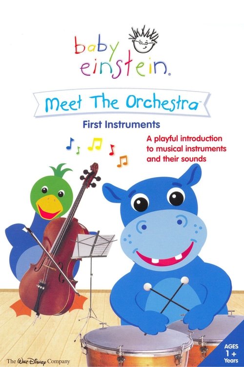 Baby Einstein: Meet The Orchestra - First Instruments 2006