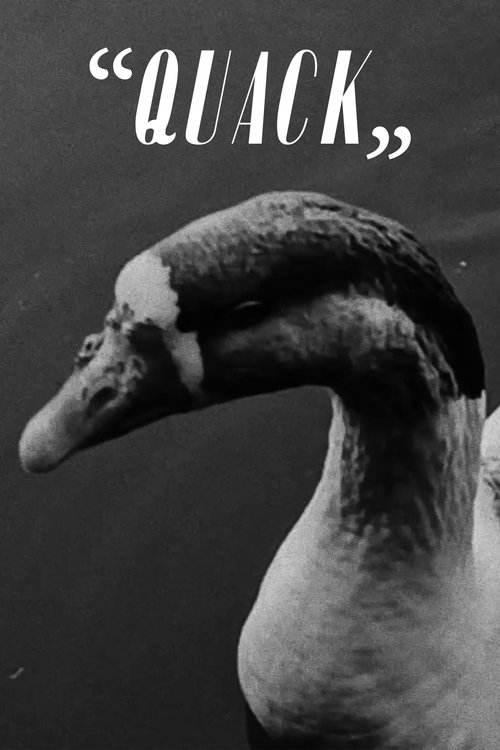 “Quack” (2023) poster