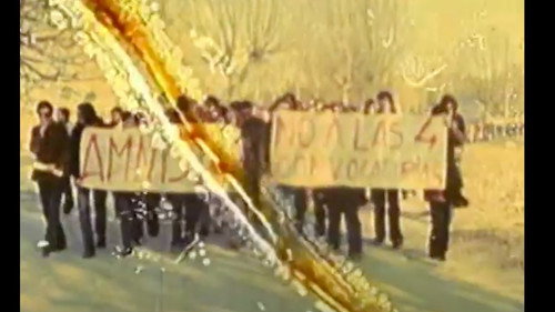 Amnistía y libertad