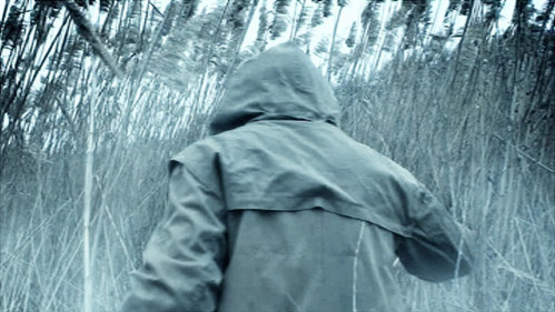 Two Wolves of the Blood Princess