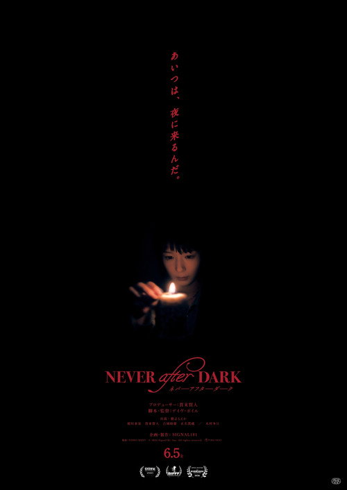 Never After Dark poster