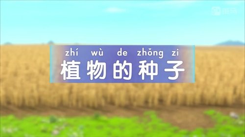 Épisode 7