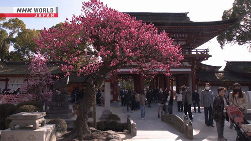 Faith in Tenjin - Prayers from across Japan